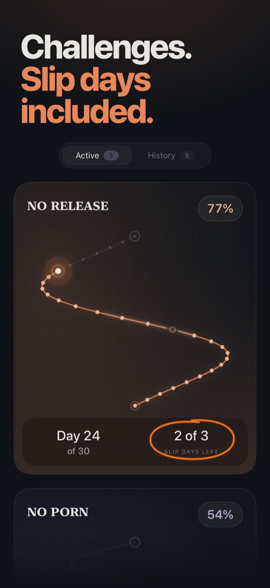 Challenges. Slip days included. The Challenge tab, with 2 of 3 slip days left circled.