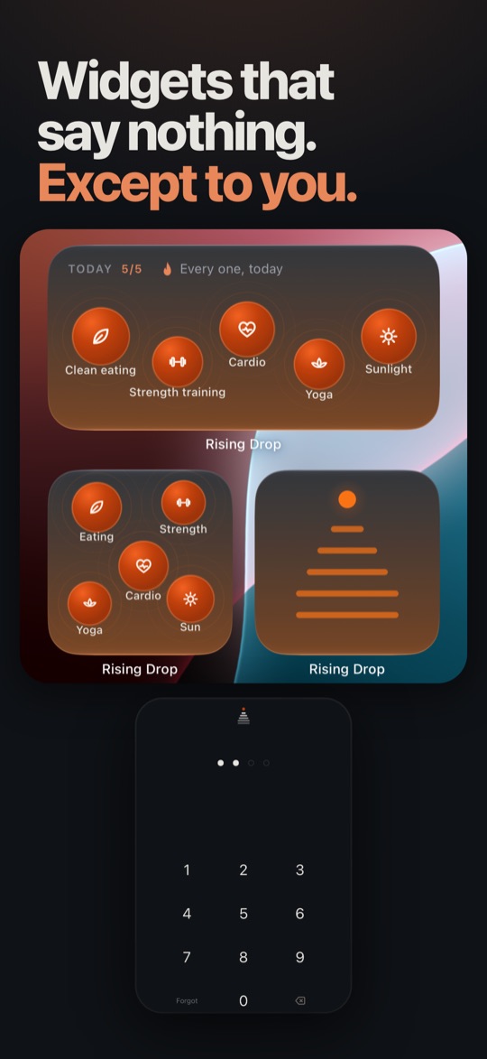 Widgets that say nothing. Except to you. A home screen with the habits widgets and the ladder, and the PIN pad.